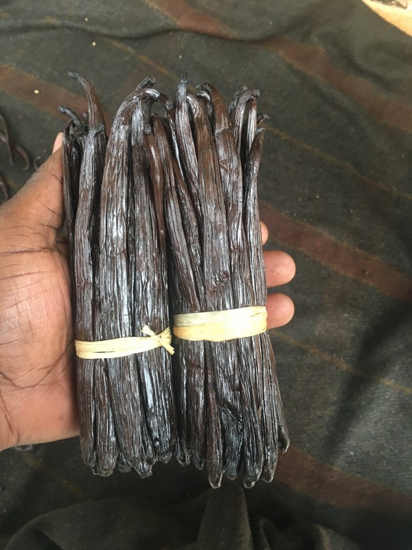 Cured Vanilla Beans from Uganda